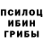 Псилоцибиновые грибы Psilocybe shadowzach09