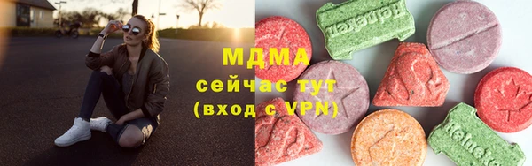 дмт Богданович