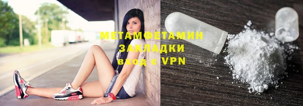 дмт Богданович