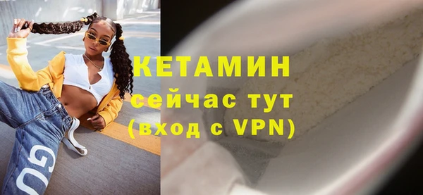 дмт Богданович