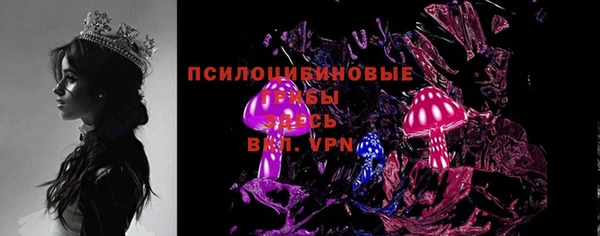 дмт Богданович