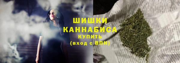 дмт Богданович