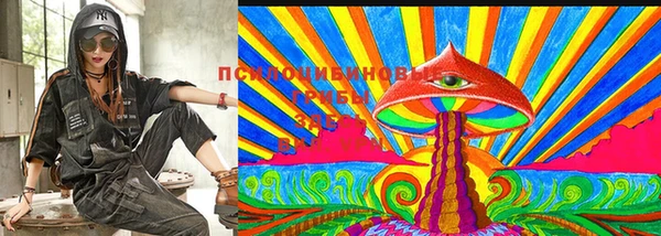 мдма Богородицк
