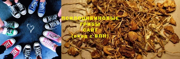 дмт Богданович