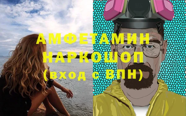 дмт Богданович