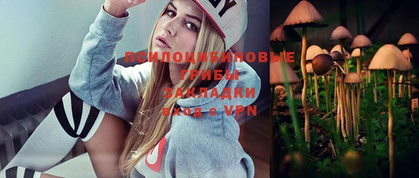 дмт Богданович
