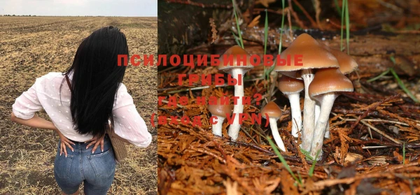 jwh Верхний Тагил